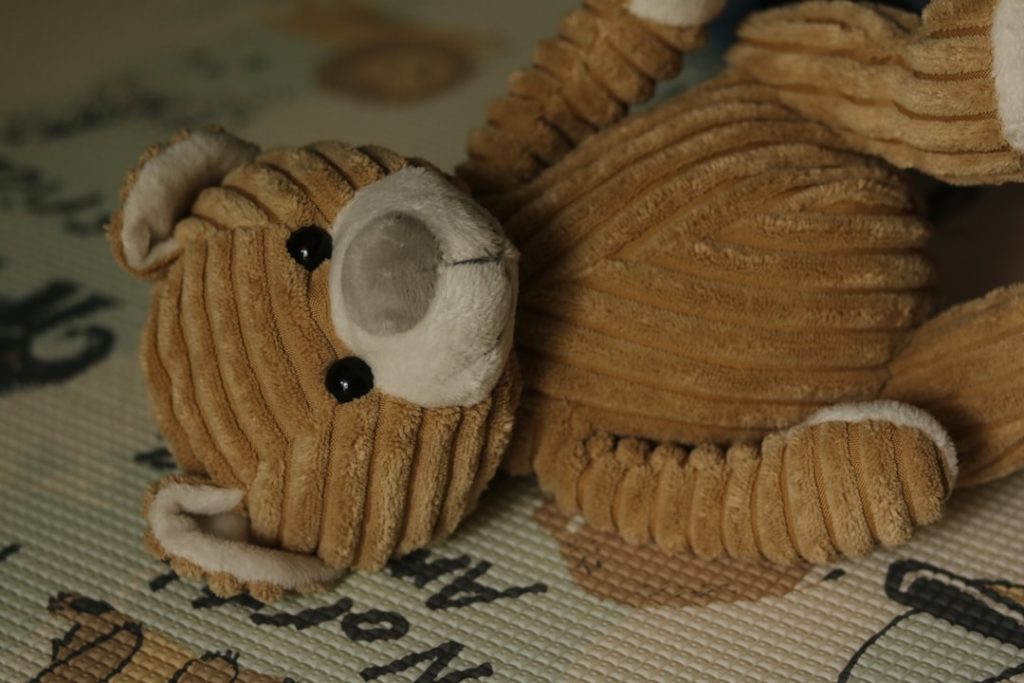 a-close-up-of-a-stuffed-teddy-bear-lying-down-czjmh2uda98